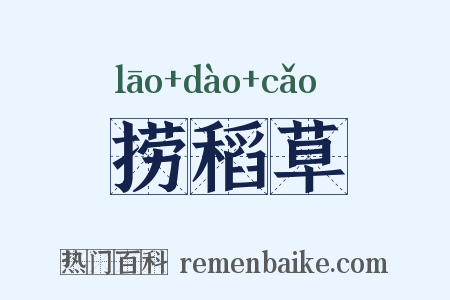 捞稻草是什么意思的图片